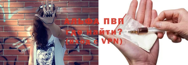 ГАЛЛЮЦИНОГЕННЫЕ ГРИБЫ Инта