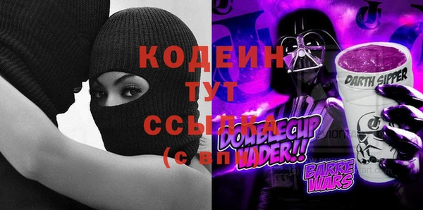 ГАЛЛЮЦИНОГЕННЫЕ ГРИБЫ Инта