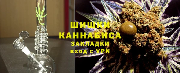 ГАЛЛЮЦИНОГЕННЫЕ ГРИБЫ Инта