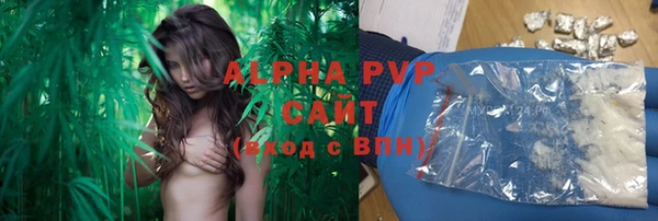ГАЛЛЮЦИНОГЕННЫЕ ГРИБЫ Инта